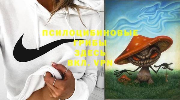 Альфа ПВП Армянск