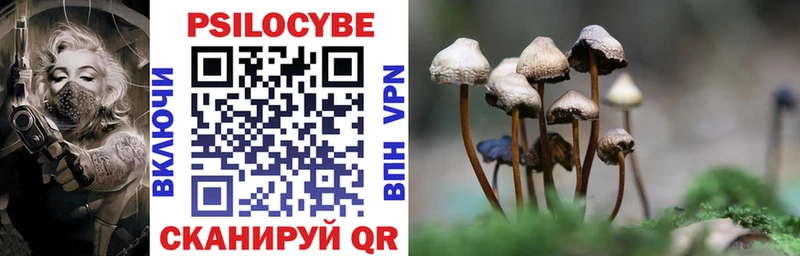 как найти наркотики kraken tor Галлюциногенные грибы Psilocybe Венёв